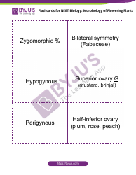 Neet Biology Flashcards - Morphology of Flowering Plants, Page 6