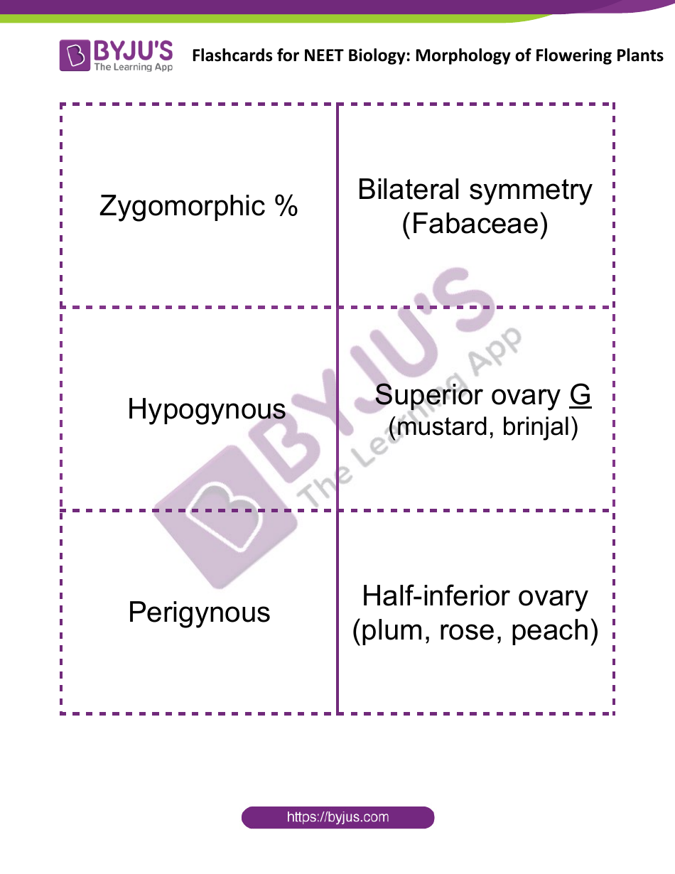 Neet Biology Flashcards - Morphology of Flowering Plants, Page 6