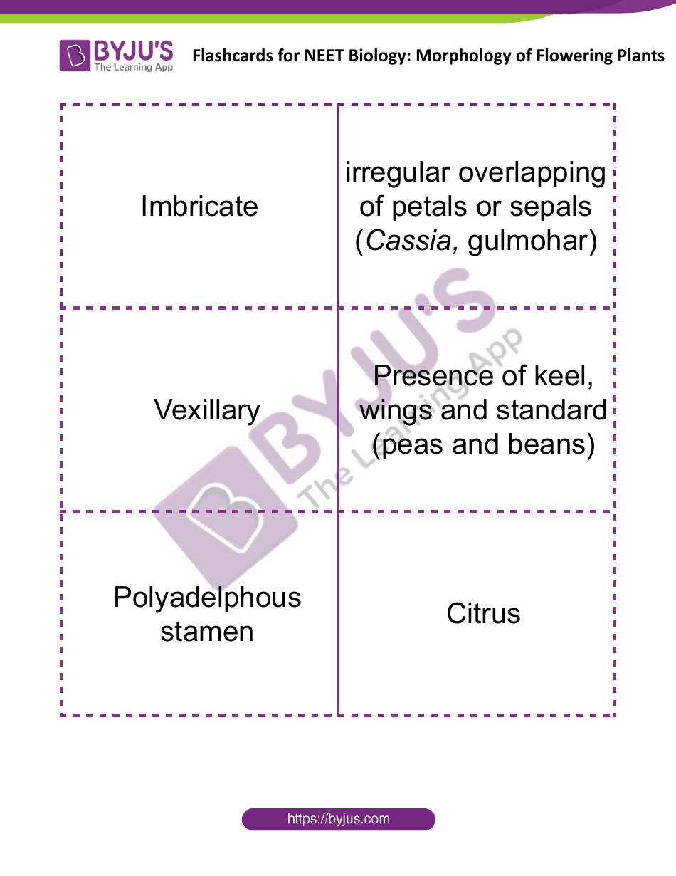 Neet Biology Flashcards - Morphology of Flowering Plants, Page 8