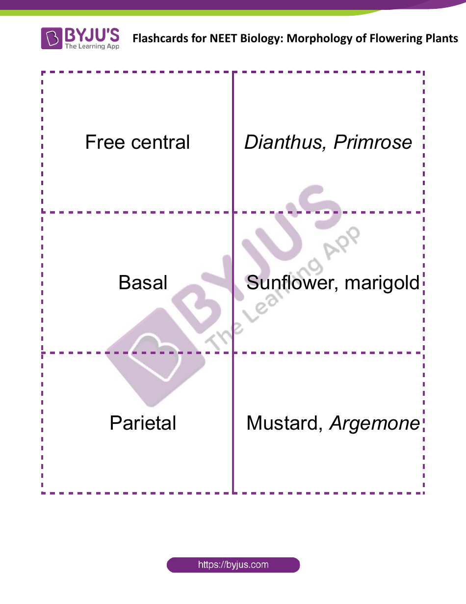 Neet Biology Flashcards - Morphology of Flowering Plants, Page 9