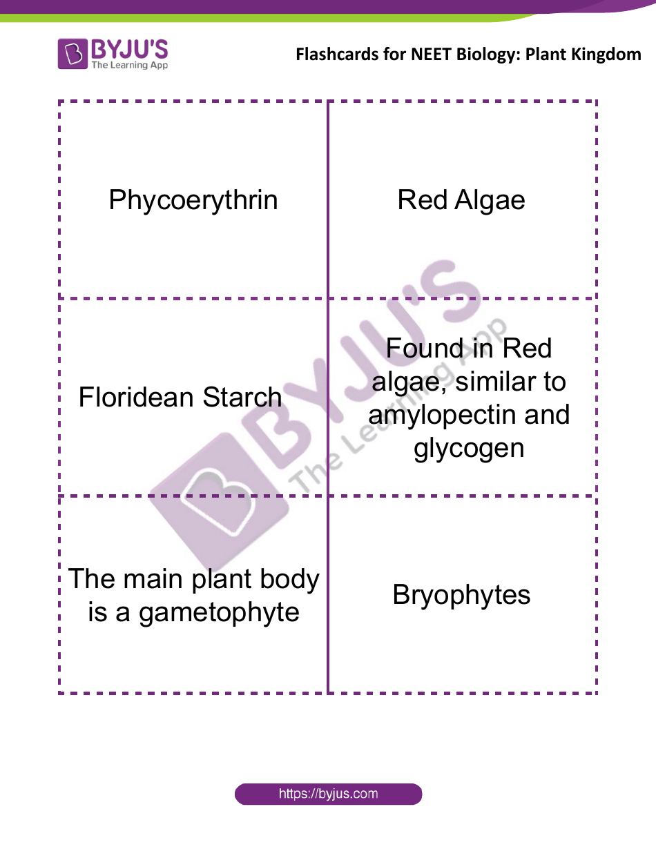 Neet Biology Flashcards - Plant Kingdom, Page 4