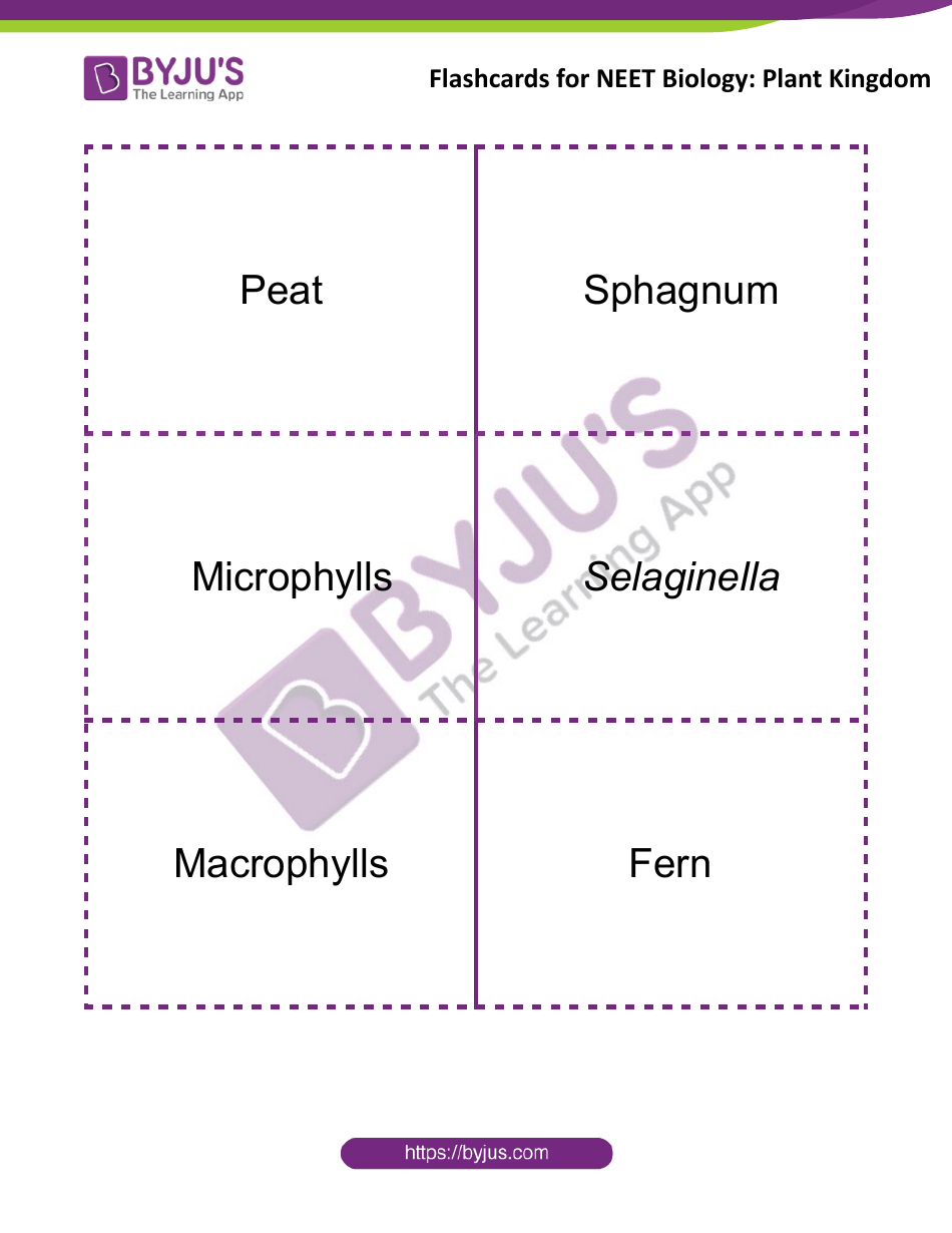 Neet Biology Flashcards - Plant Kingdom, Page 5