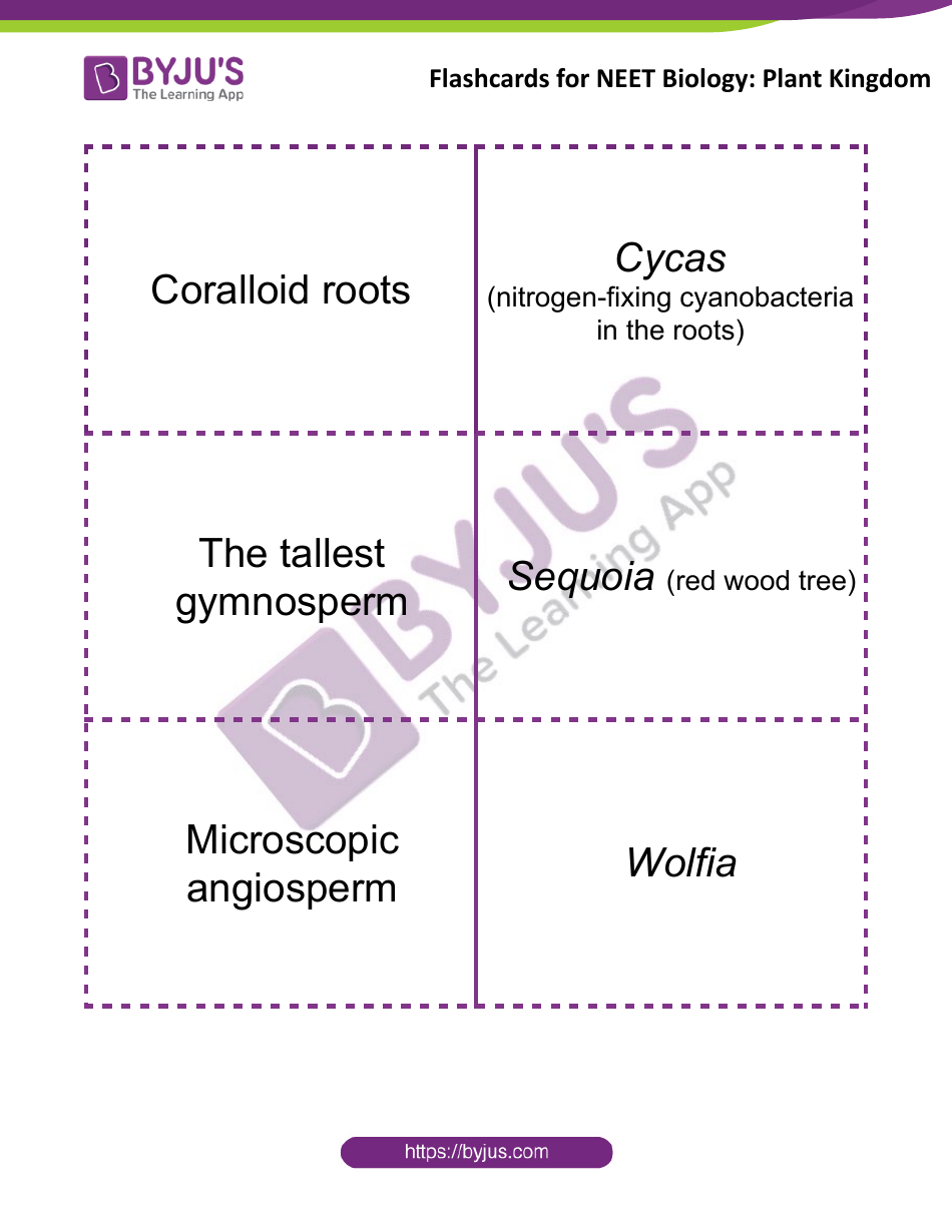 Neet Biology Flashcards - Plant Kingdom, Page 7