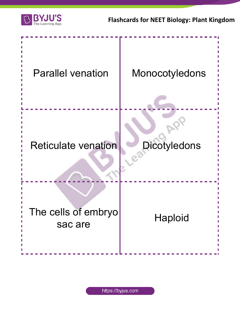 Neet Biology Flashcards - Plant Kingdom, Page 8