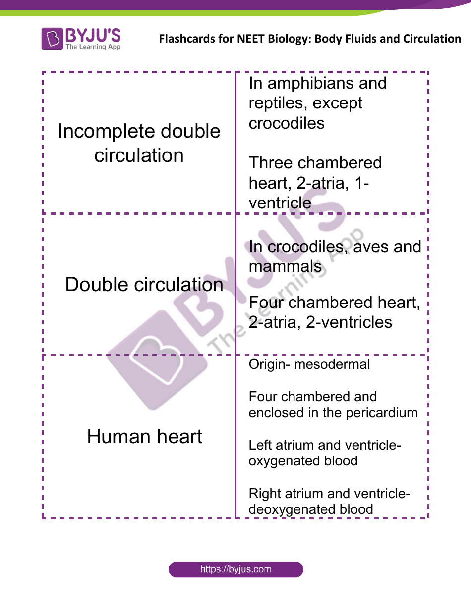 Neet Biology Flashcards - Body Fluids and Circulation, Page 5