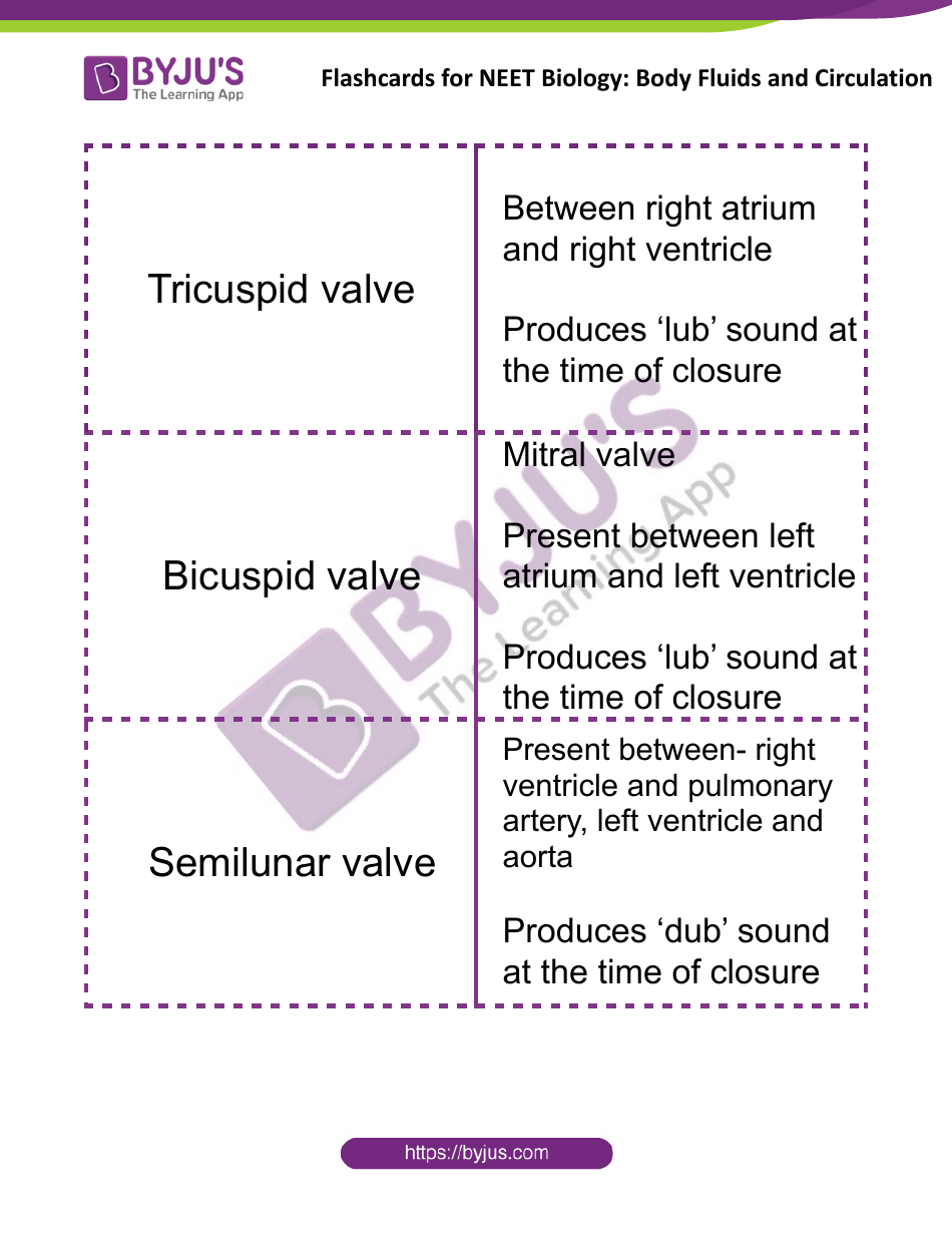 Neet Biology Flashcards - Body Fluids and Circulation, Page 6