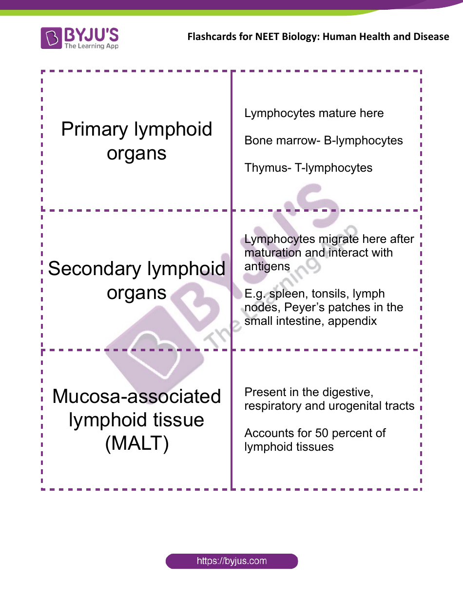Neet Biology Flashcards - Human Health and Disease, Page 9