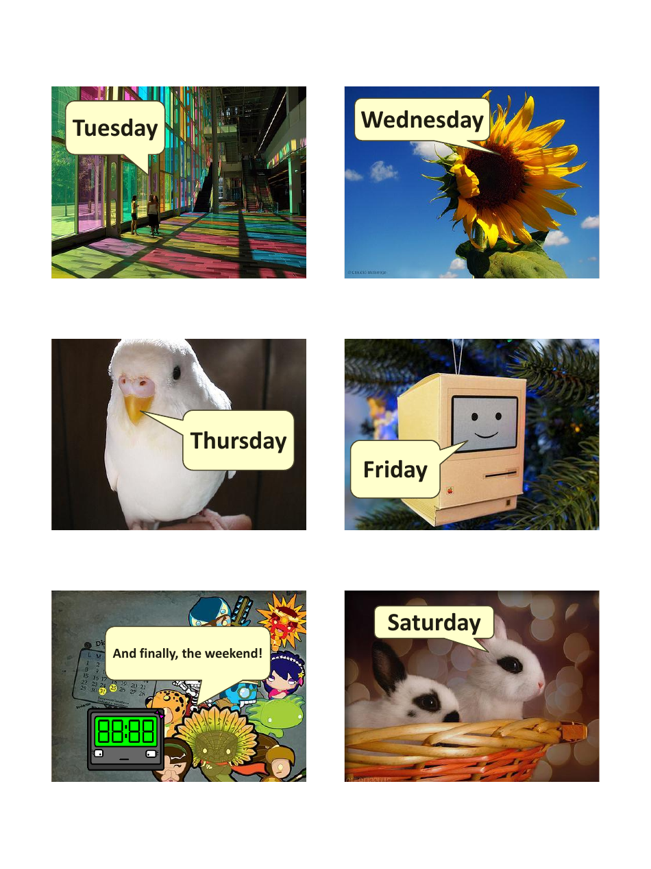 English Vocab Revision Flashcards - Time, Page 4