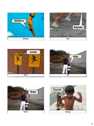 Spanish Revision Flashcards - Sports, Page 9