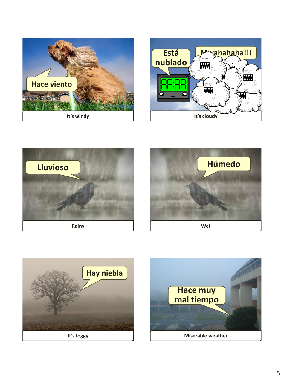 Spanish Revision Flashcards - Weather, Page 5