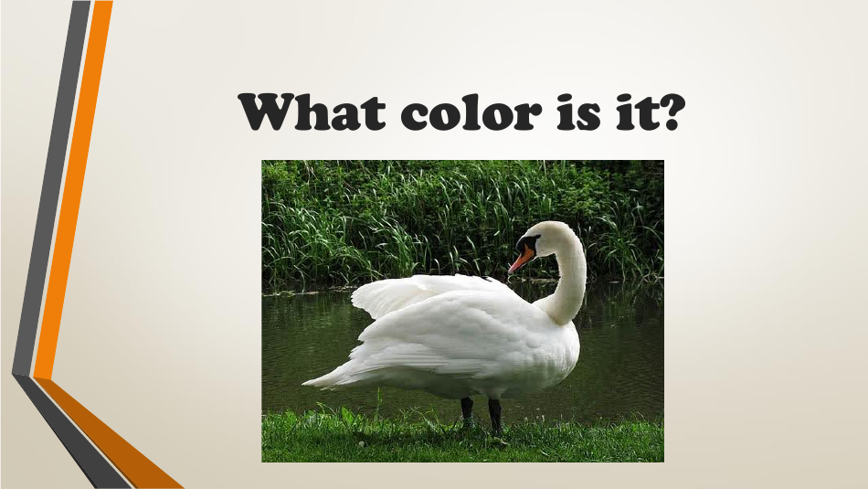 Color Flashcards - Varicolored, Page 20