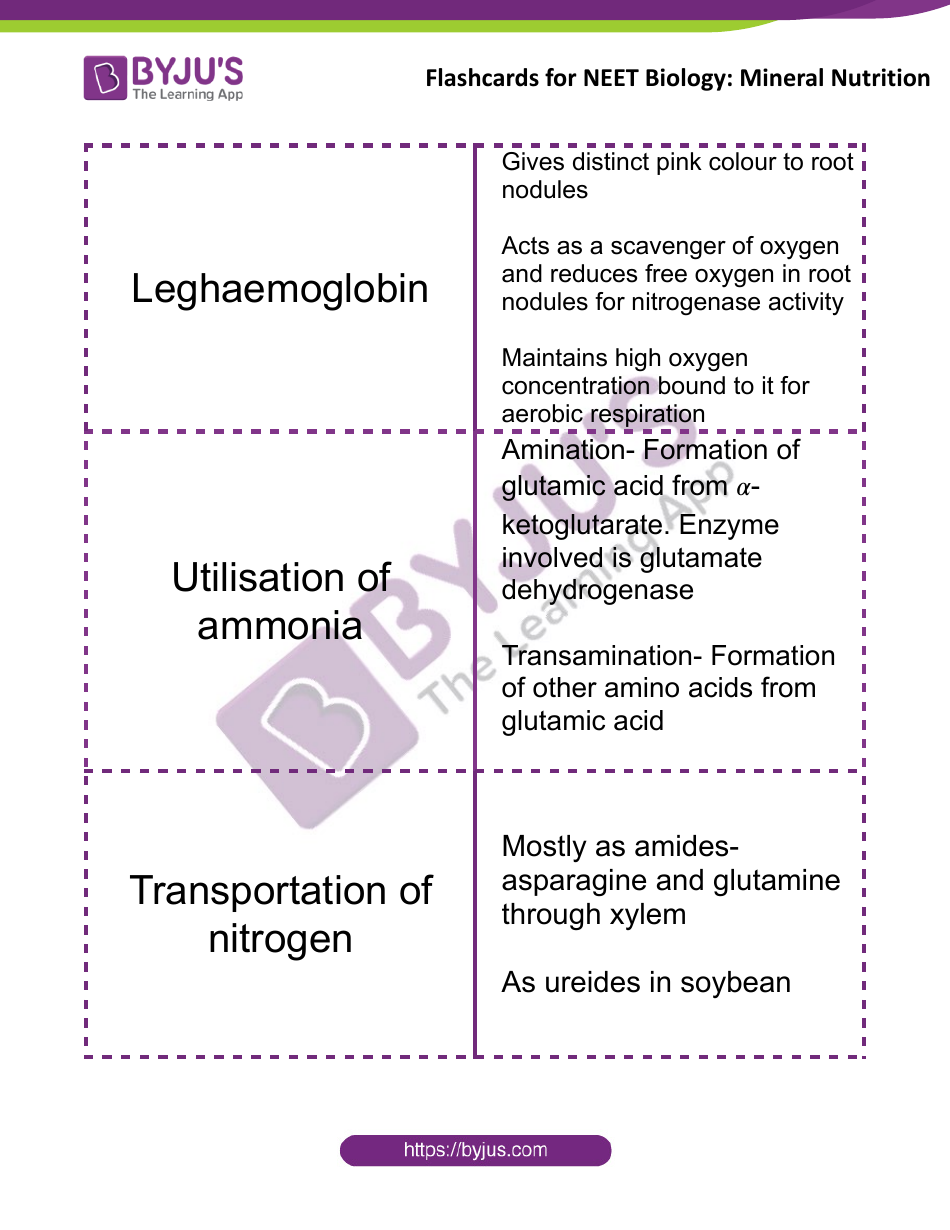 Neet Biology Flashcards - Mineral Nutrition, Page 10