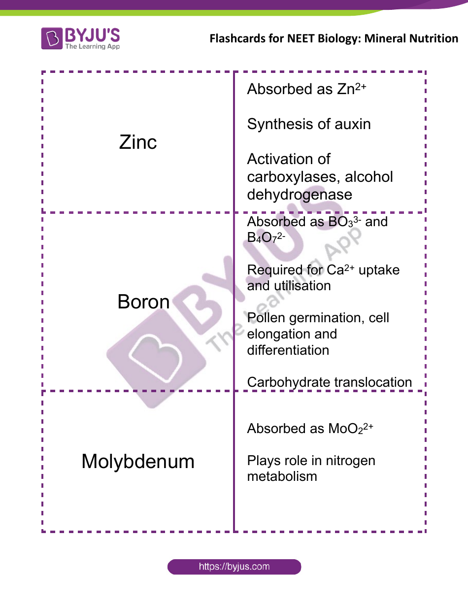 Neet Biology Flashcards - Mineral Nutrition, Page 4