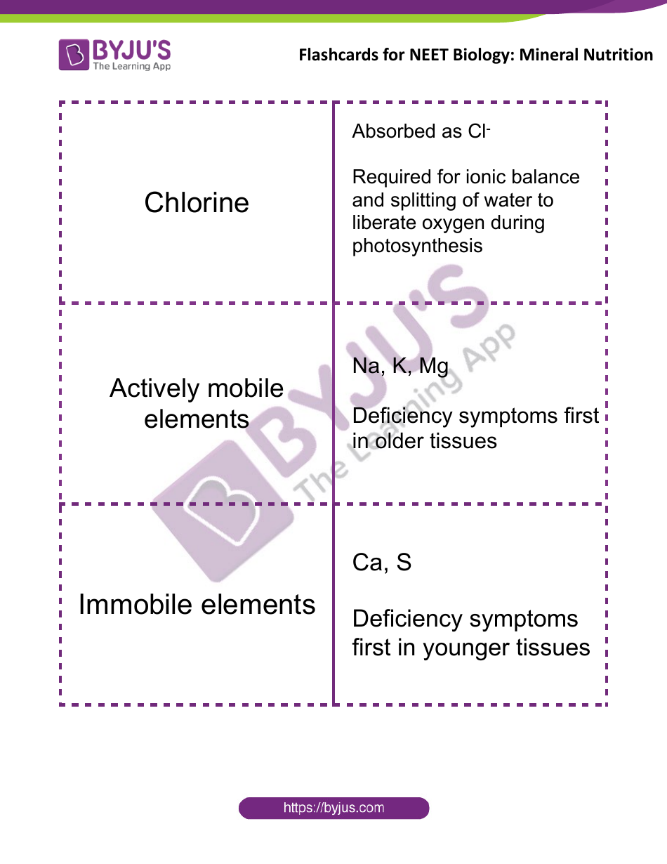 Neet Biology Flashcards - Mineral Nutrition, Page 5