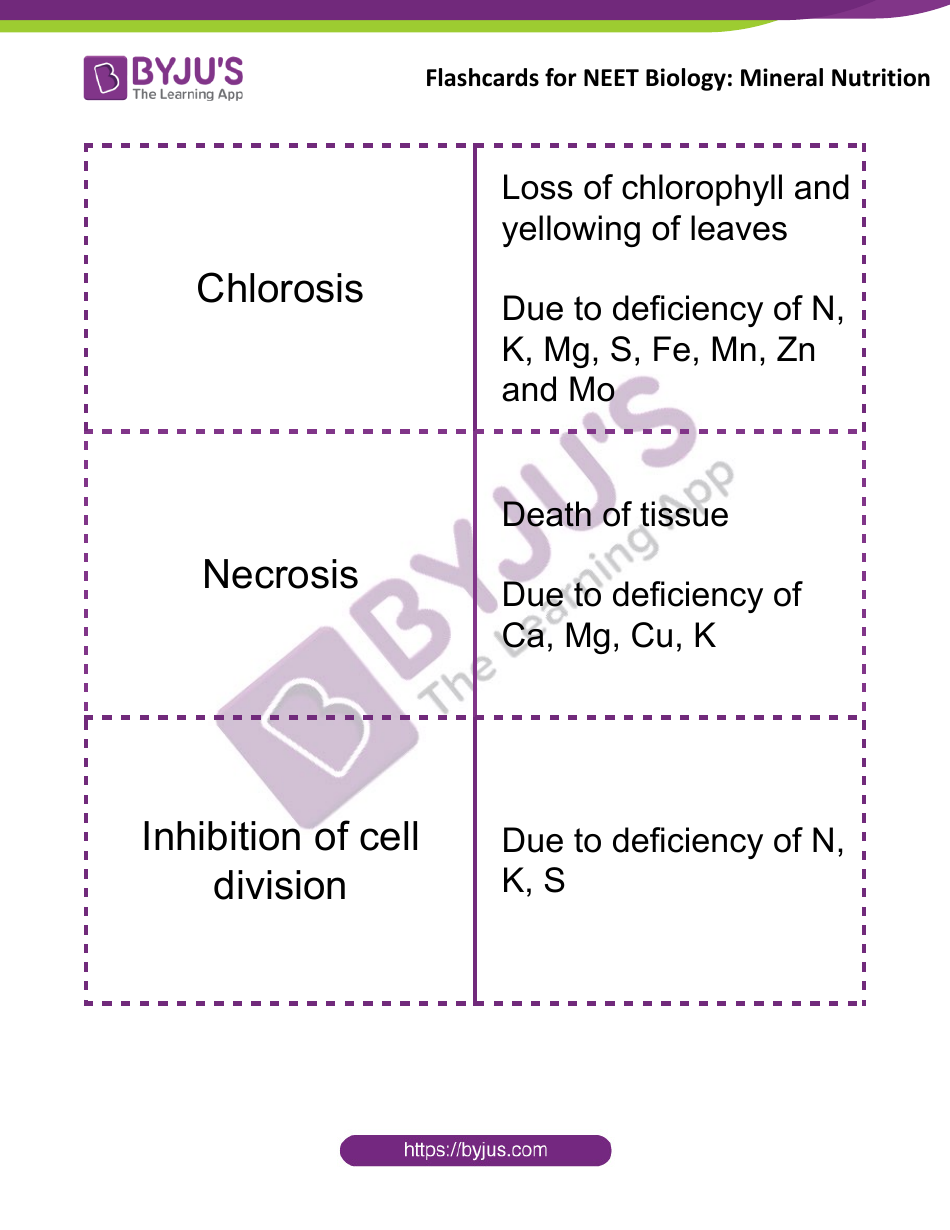 Neet Biology Flashcards - Mineral Nutrition, Page 6