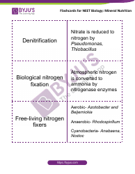Neet Biology Flashcards - Mineral Nutrition, Page 8