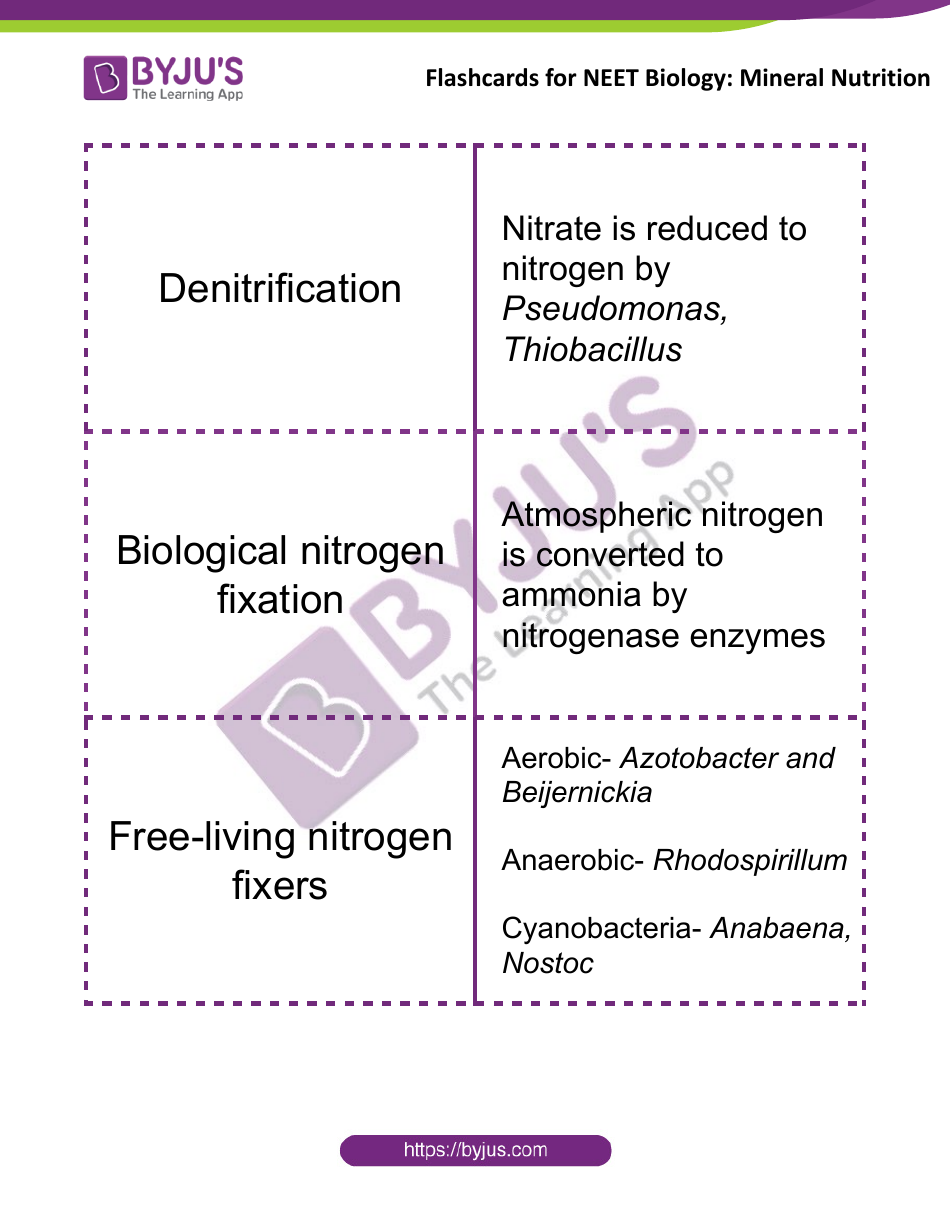 Neet Biology Flashcards - Mineral Nutrition, Page 8
