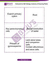 Biology Flashcards - Anatomy of Flowering Plants, Page 5