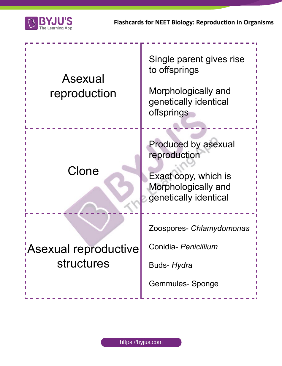 Neet Biology Flashcards - Reproduction in Organisms, Page 1