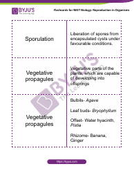 Neet Biology Flashcards - Reproduction in Organisms, Page 3
