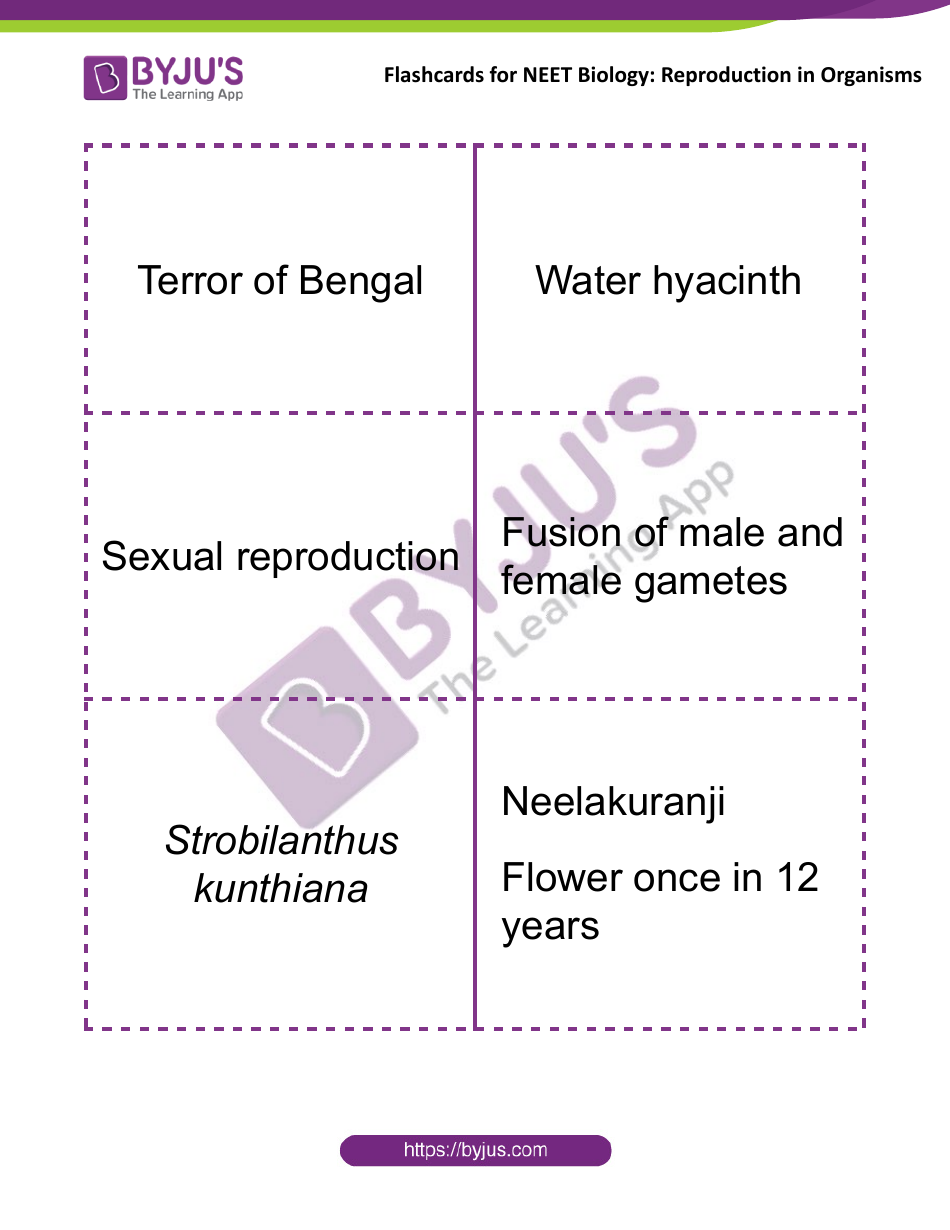 Neet Biology Flashcards - Reproduction in Organisms, Page 4