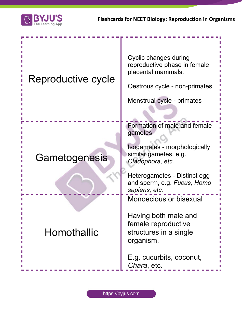 Neet Biology Flashcards - Reproduction in Organisms, Page 5