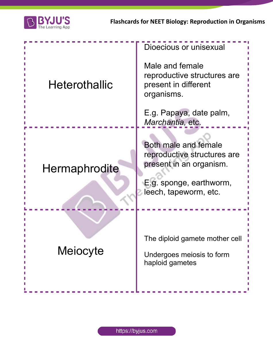 Neet Biology Flashcards - Reproduction in Organisms, Page 6