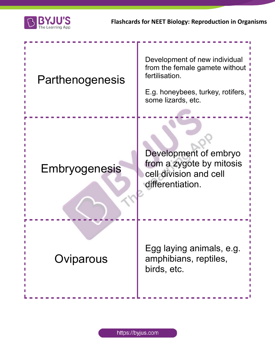 Neet Biology Flashcards - Reproduction in Organisms, Page 7