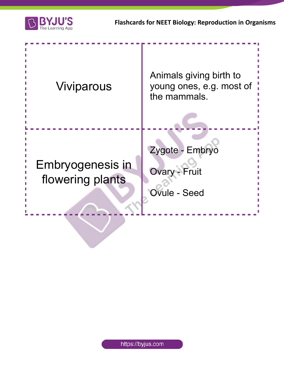 Neet Biology Flashcards - Reproduction in Organisms, Page 8