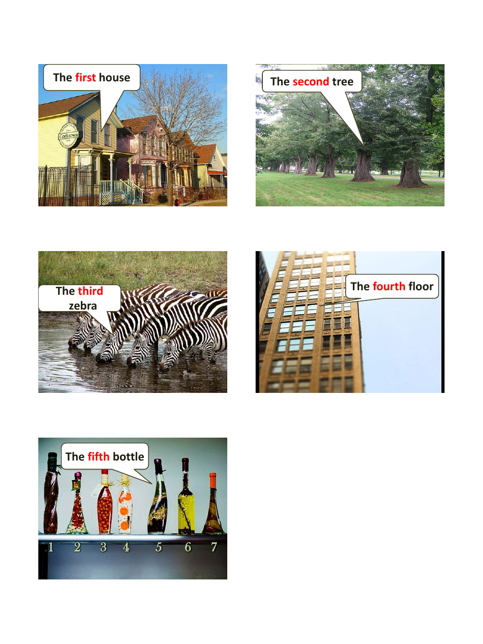 English Vocab Revision Flashcards - Numbers, Page 12