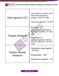 Biology Flashcards - Breathing and Exchange of Gases, Page 3