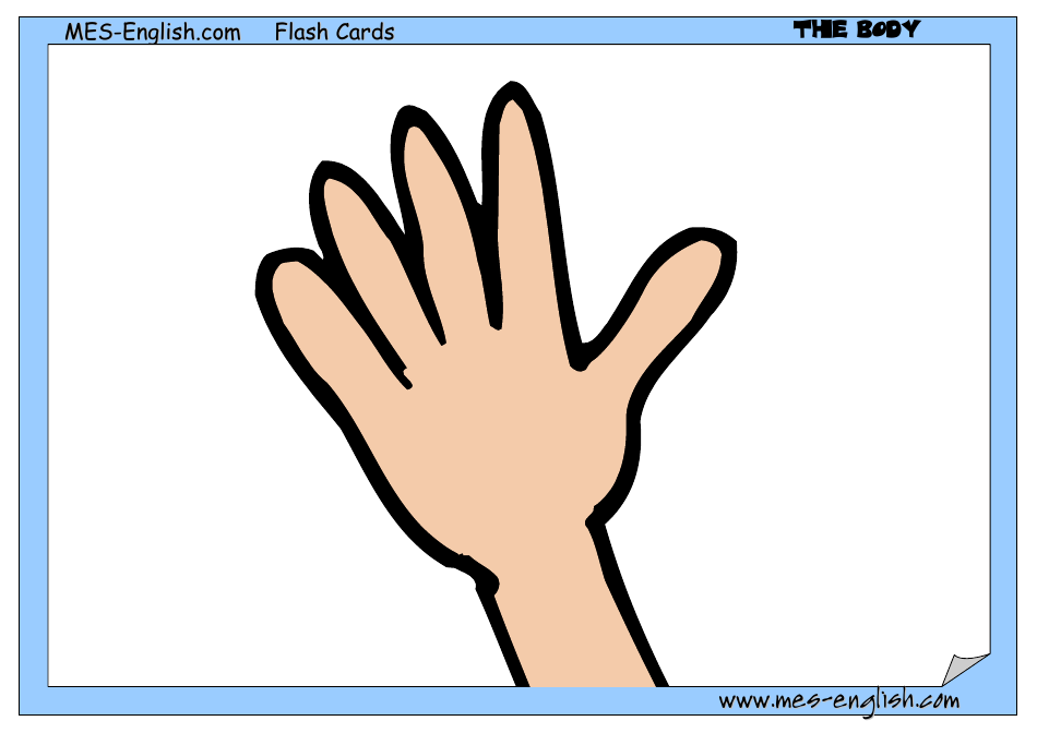 English Flashcards - Parts of the Body, Page 10