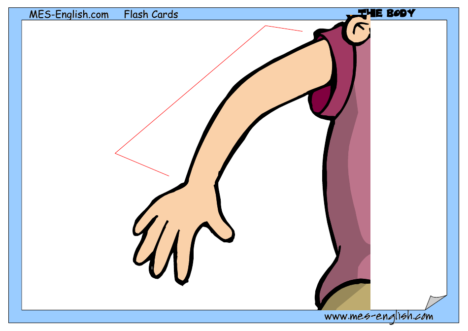 English Flashcards - Parts of the Body, Page 12