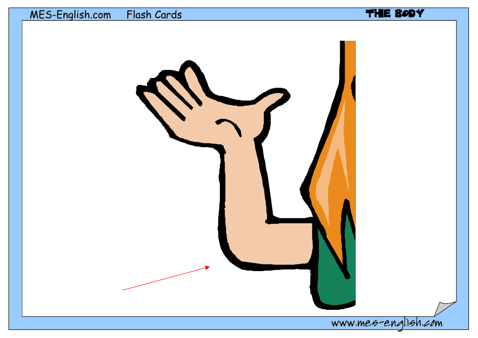 English Flashcards - Parts of the Body, Page 13