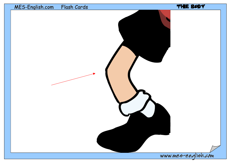 English Flashcards - Parts of the Body, Page 14