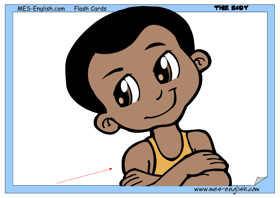 English Flashcards - Parts of the Body, Page 15