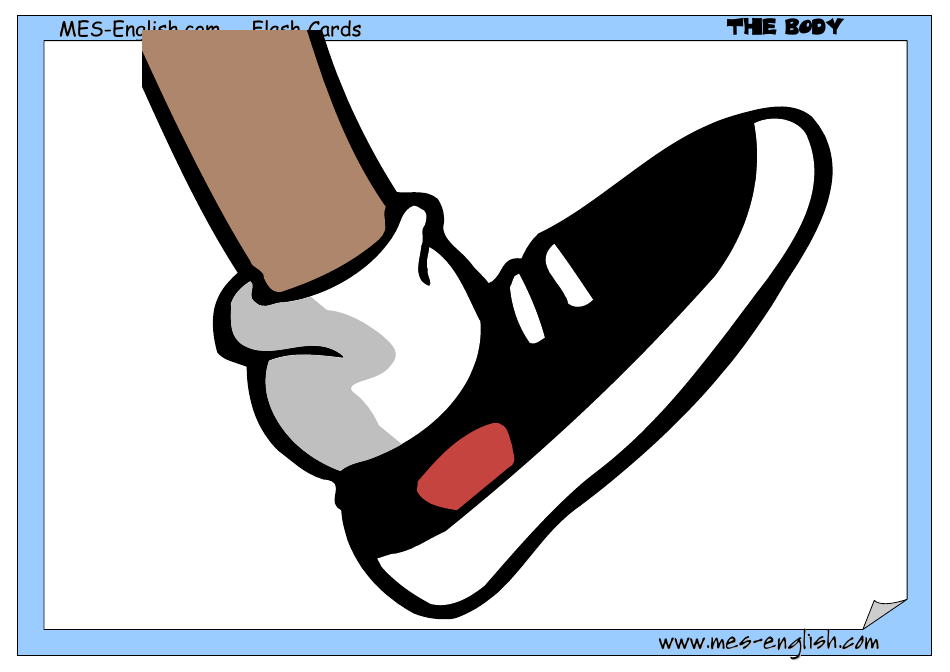 English Flashcards - Parts of the Body, Page 17