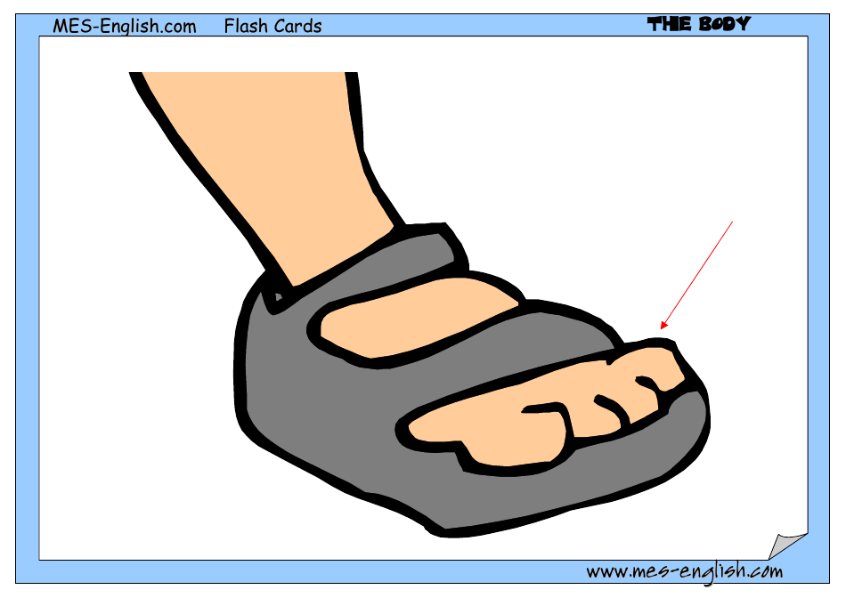English Flashcards - Parts of the Body, Page 18