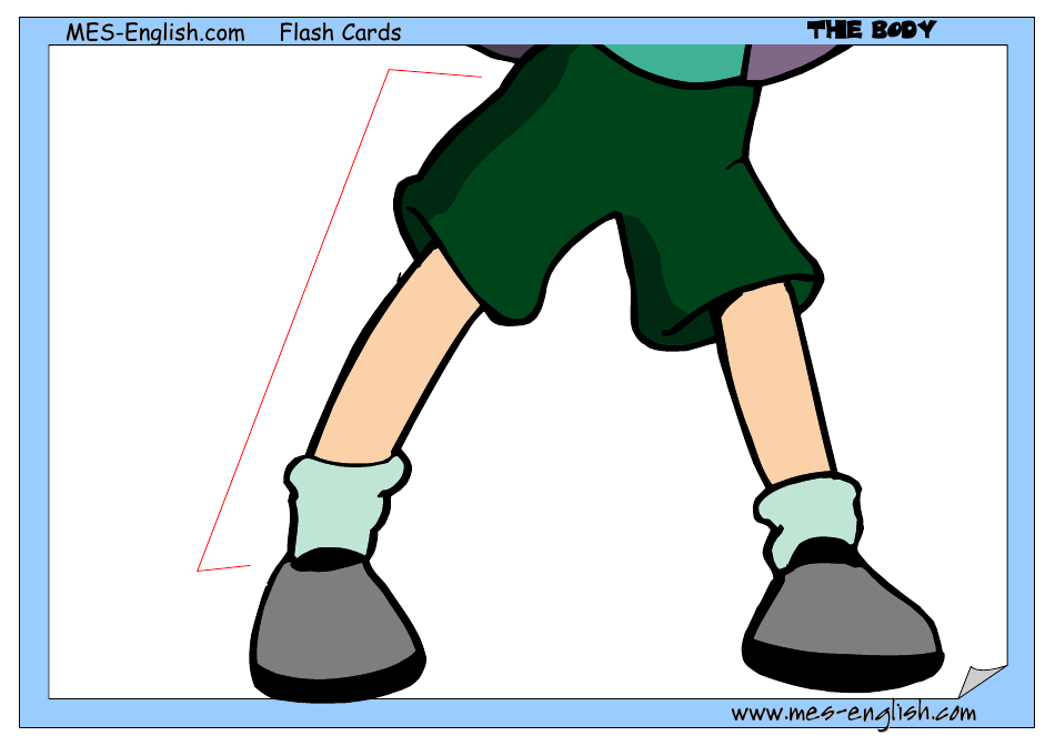 English Flashcards - Parts of the Body, Page 19