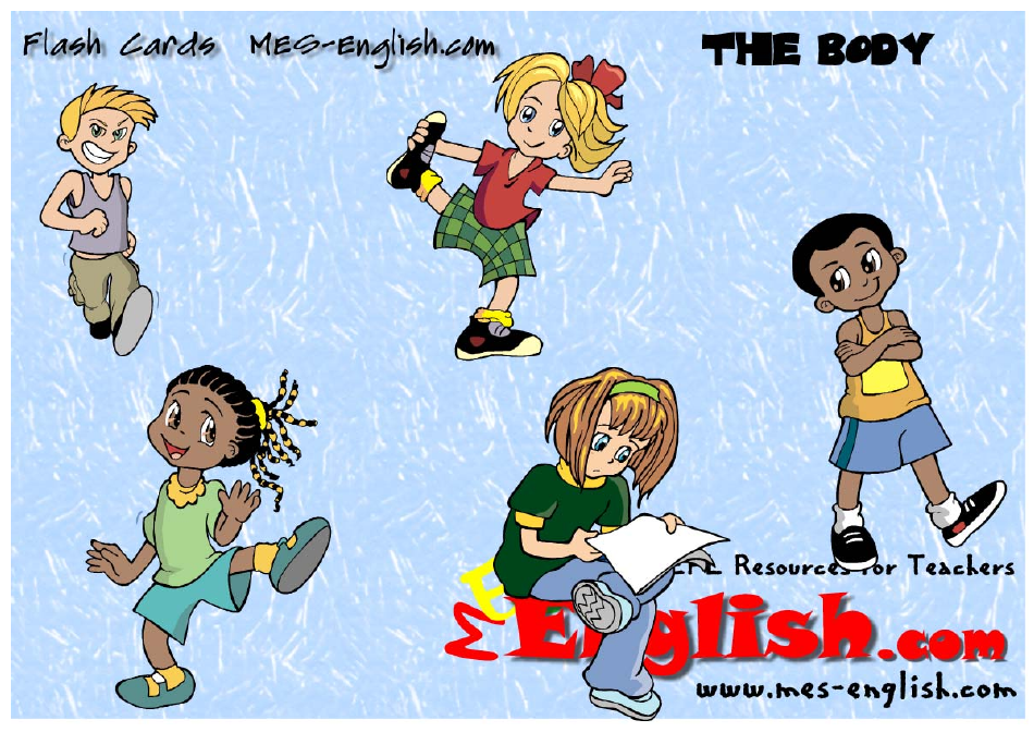 English Flashcards - Parts of the Body, Page 20