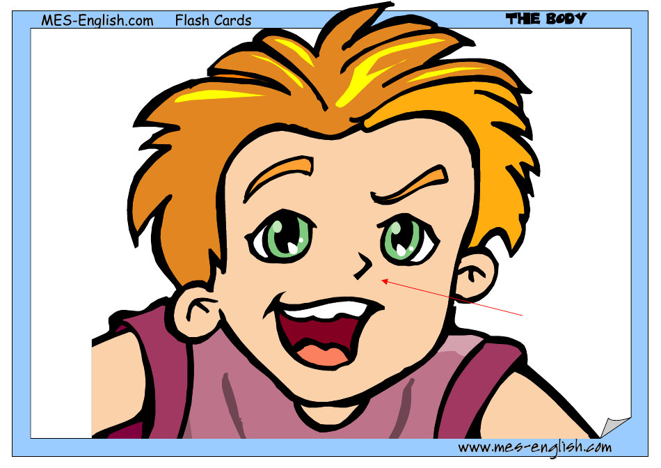 English Flashcards - Parts of the Body, Page 4