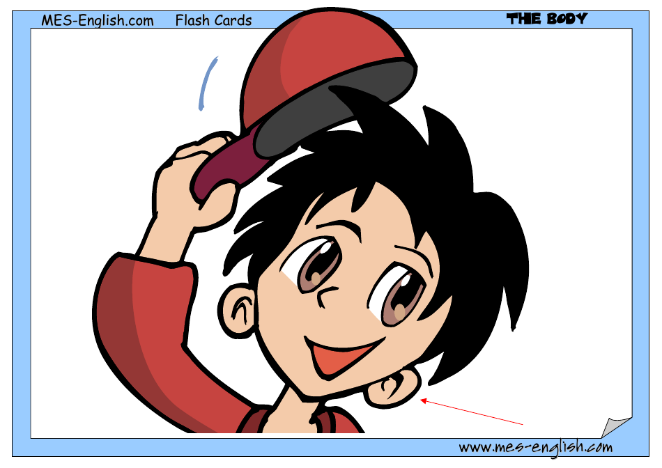 English Flashcards - Parts of the Body, Page 5