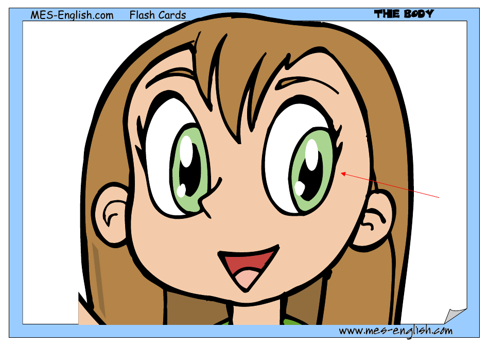 English Flashcards - Parts of the Body, Page 6