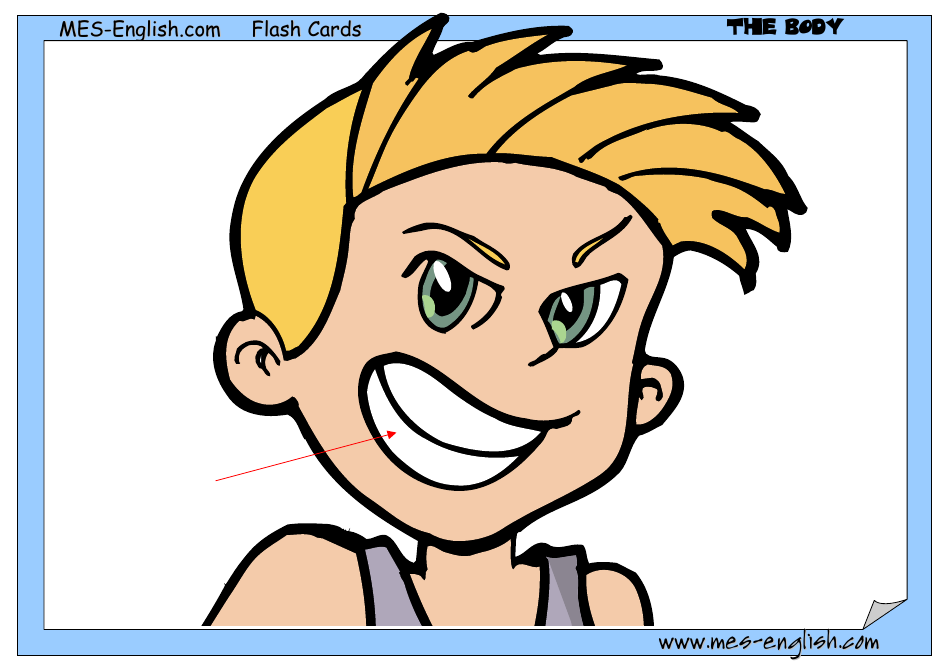 English Flashcards - Parts of the Body, Page 8