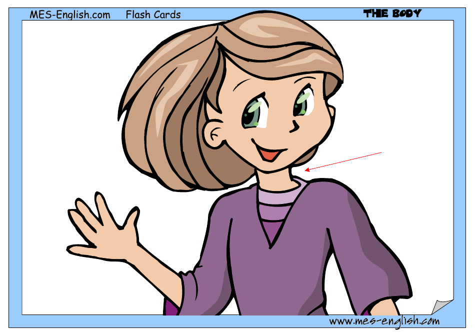 English Flashcards - Parts of the Body, Page 9