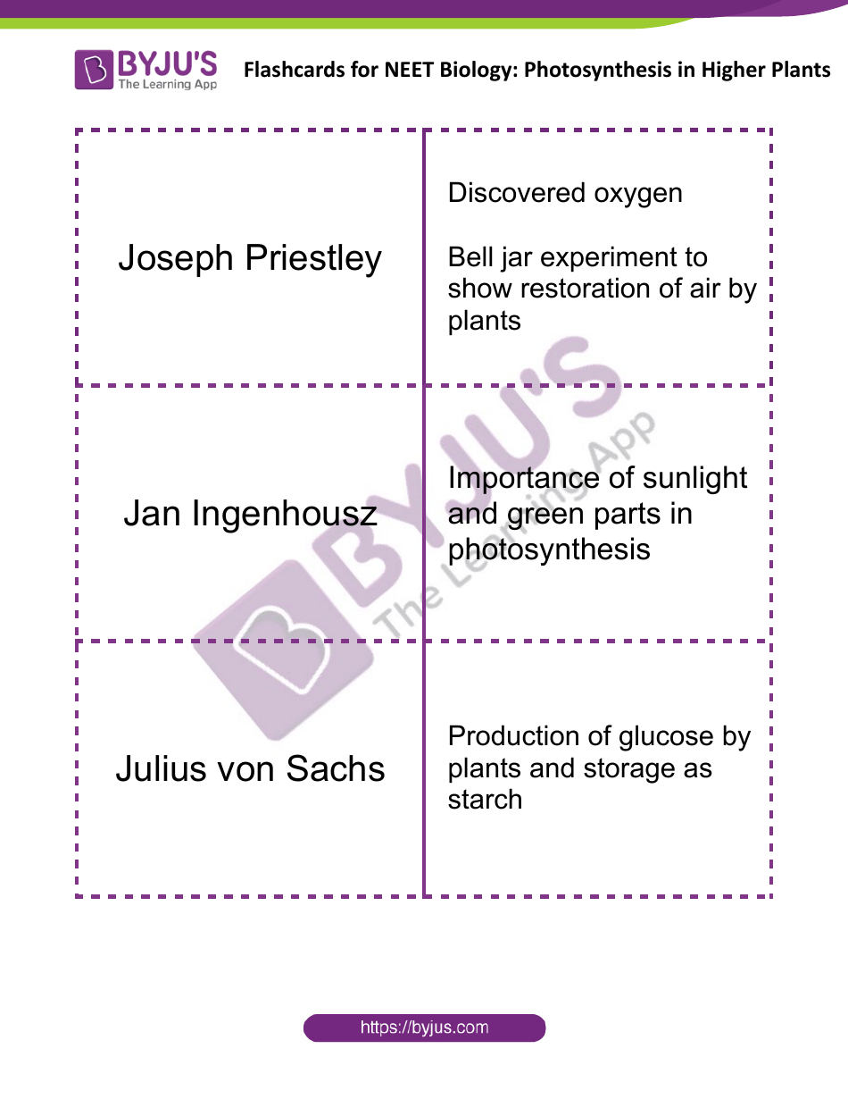 Biology Flashcards Photosynthesis in Higher Plants Download Printable