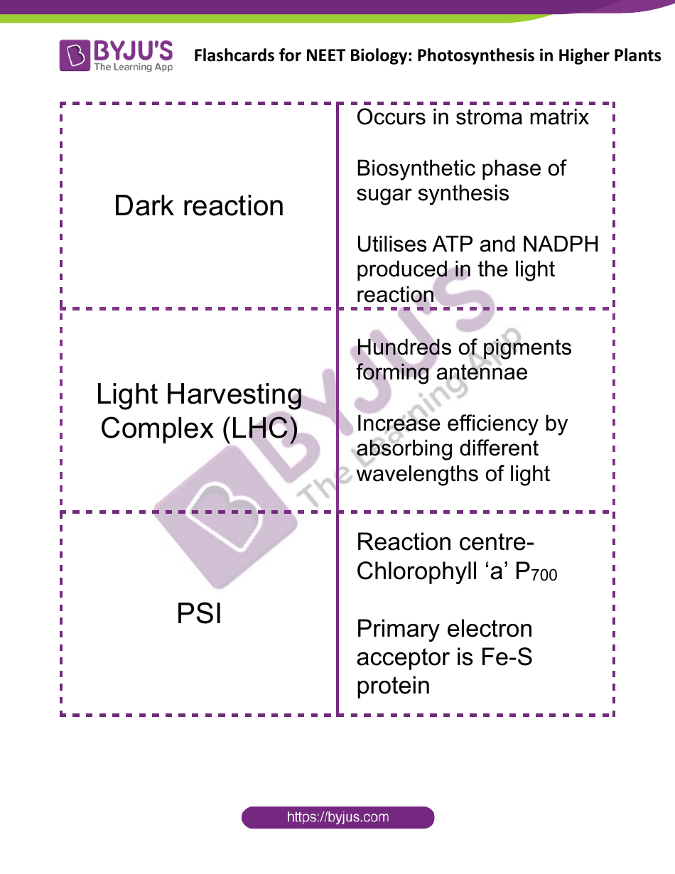 Biology Flashcards - Photosynthesis in Higher Plants, Page 3