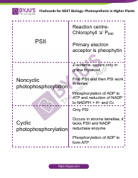 Biology Flashcards - Photosynthesis in Higher Plants, Page 4