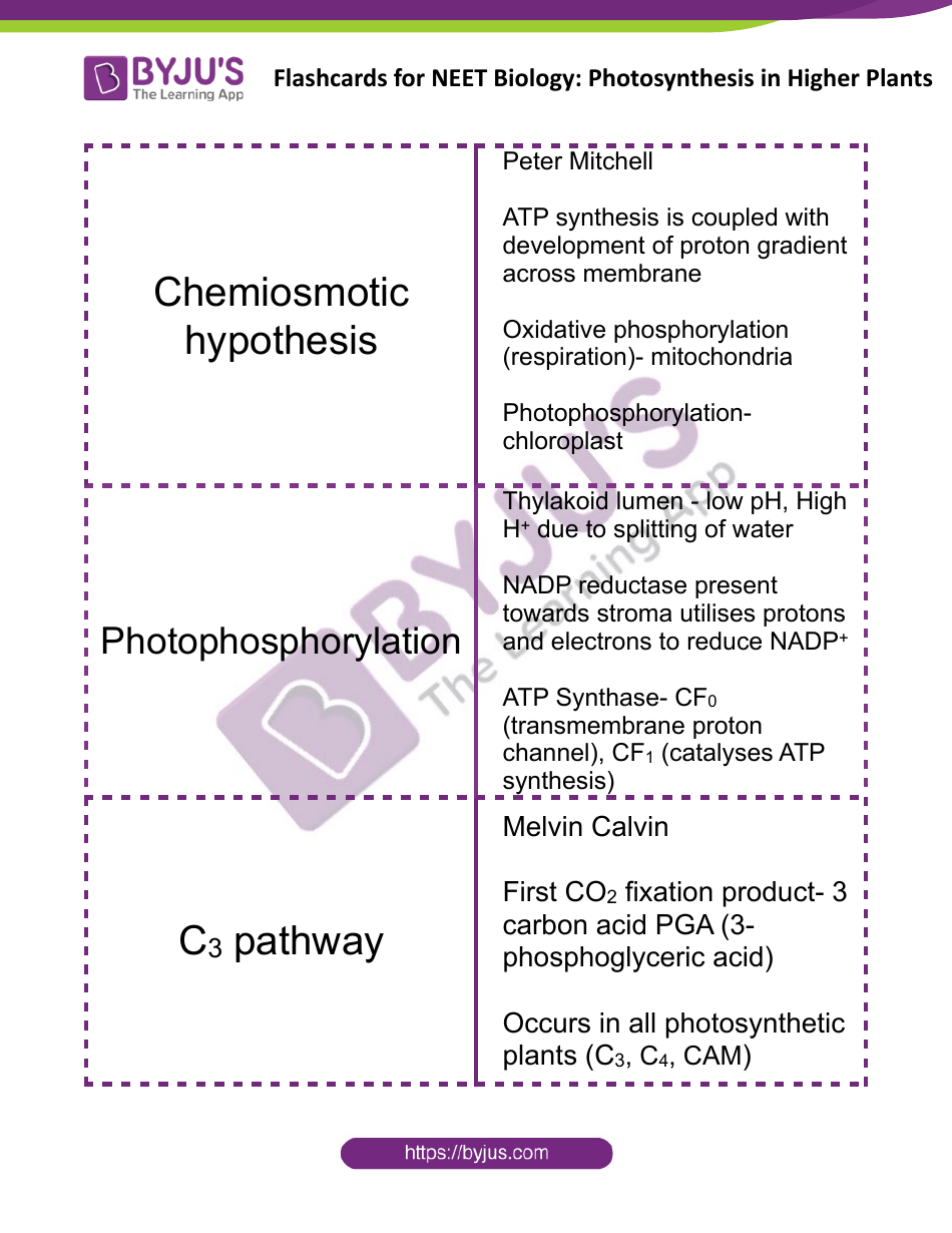 Biology Flashcards - Photosynthesis in Higher Plants, Page 5