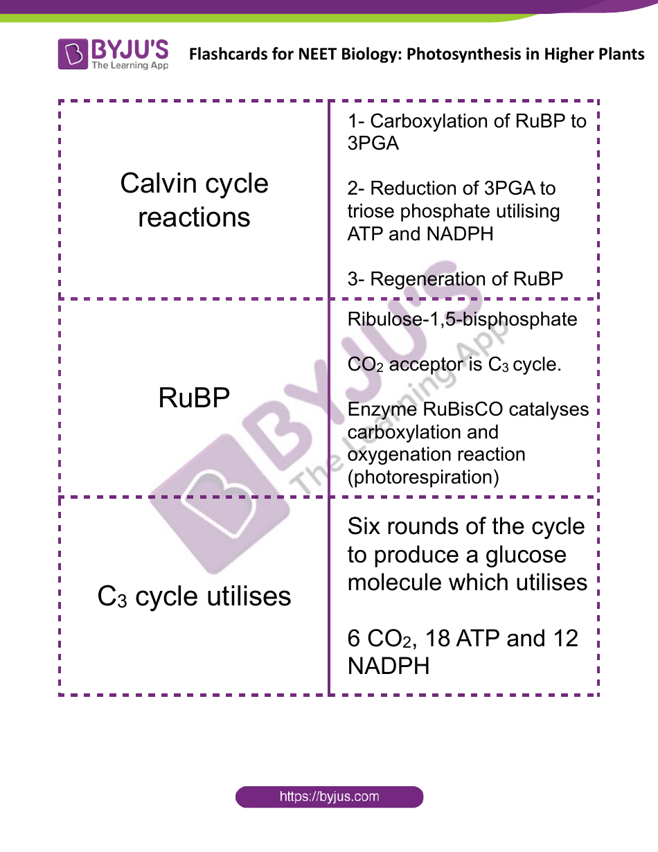 Biology Flashcards - Photosynthesis in Higher Plants, Page 6